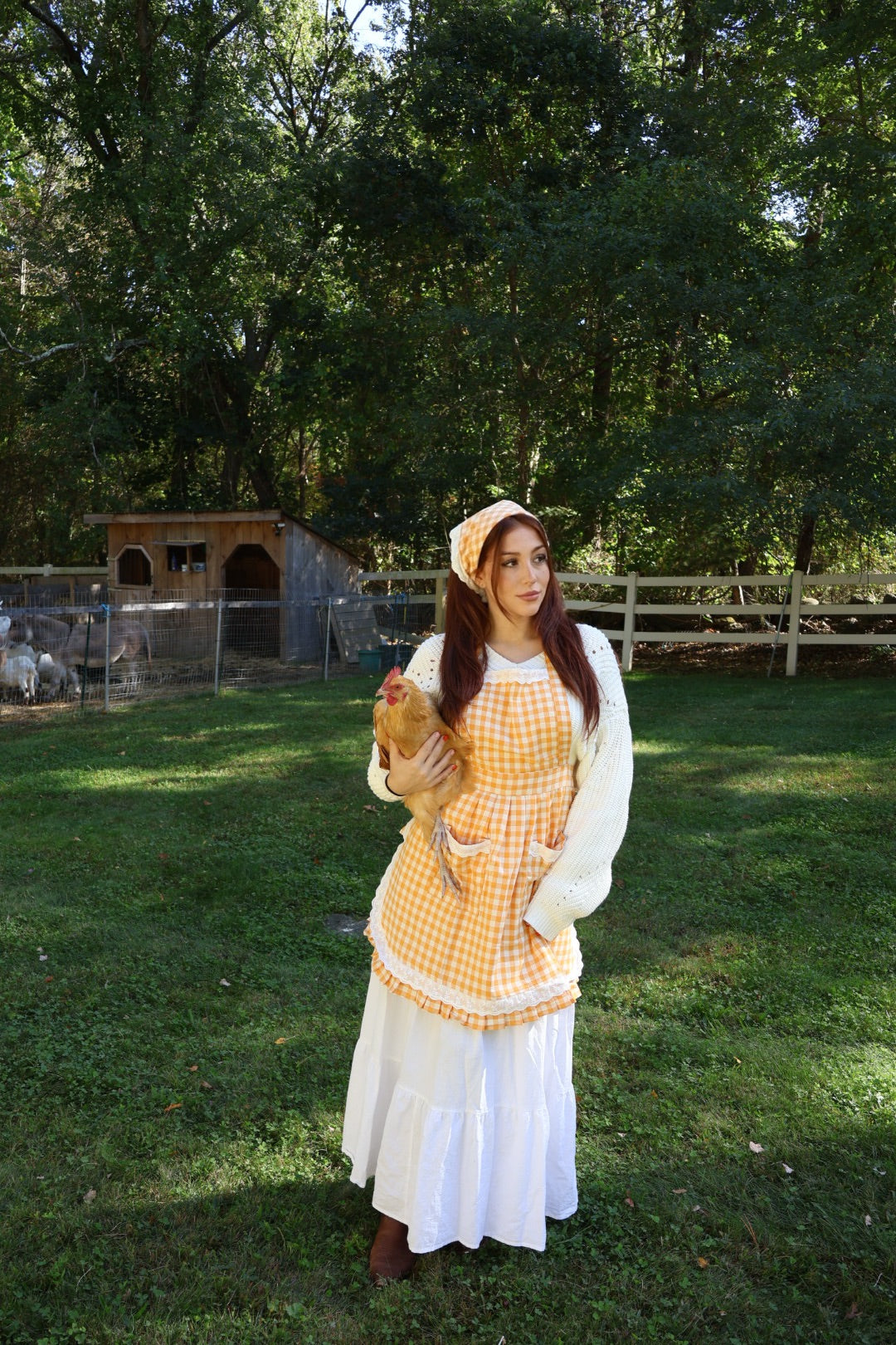 Pumpkin Pie Gingham Apron Set